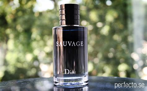 herrparfym dior|Dior men's eau.